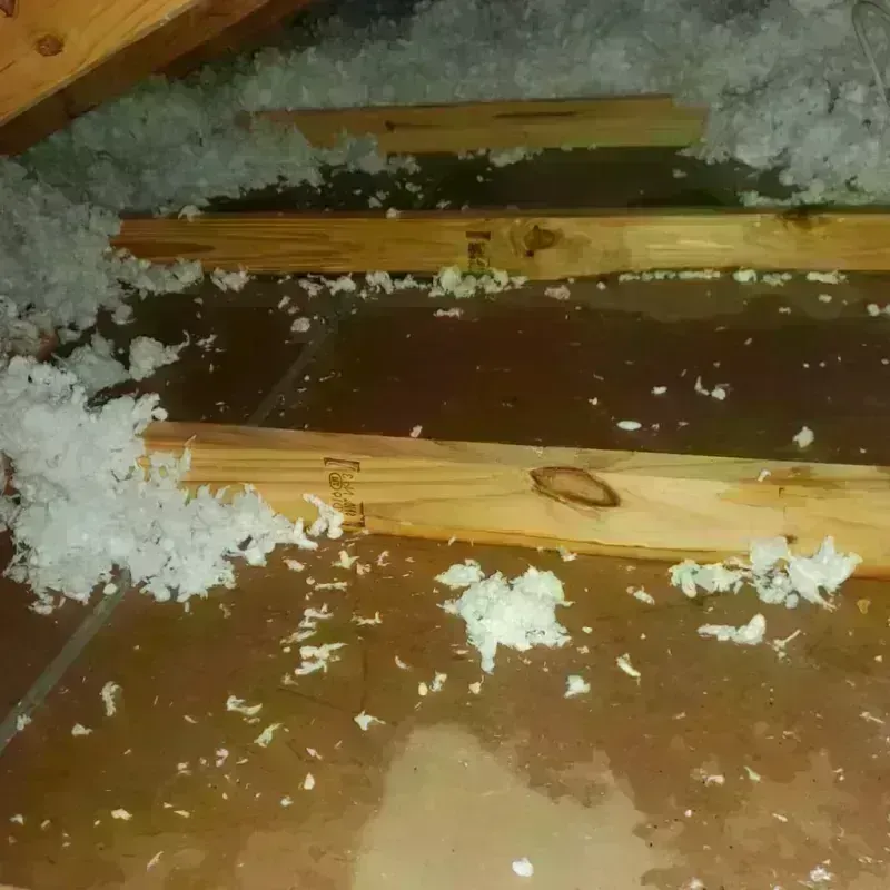 Attic Water Damage in Polk County, OR