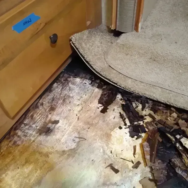 Wood Floor Water Damage in Polk County, OR